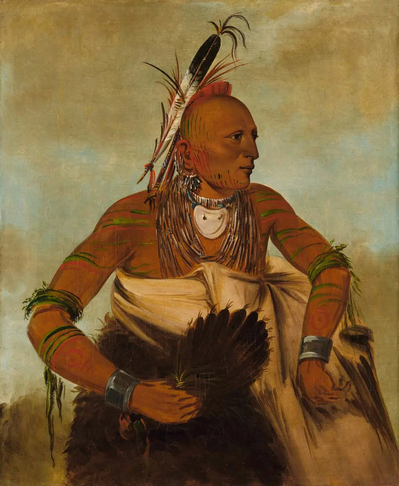 Wa-ho-béck-ee, a beautiful brave - George Catlin