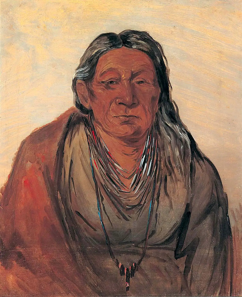 Wah-pe-séh-see, Mother of the Chief - George Catlin