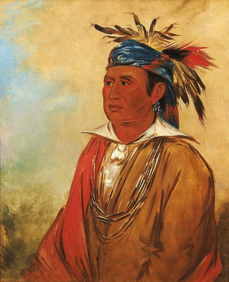 Wah-pón-jee-a, The Swan, a Warrior - George Catlin