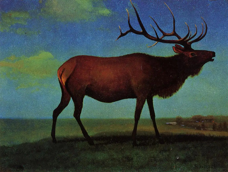Male Wapiti - Albert Bierstadt