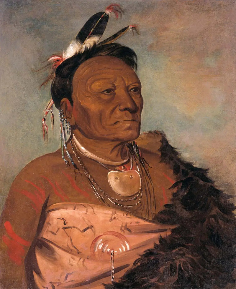 Wee-tá-ra-shá-ro, tribe chief - George Catlin