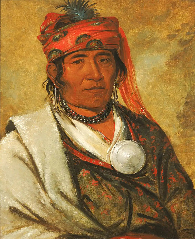 Ye-hów-lo-gee, The Cloud, a Chief - George Catlin
